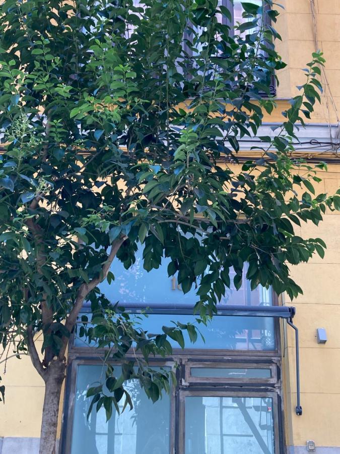 Luxury, Private Wellness In Prado Museum New Aug21 Madrid Exterior photo